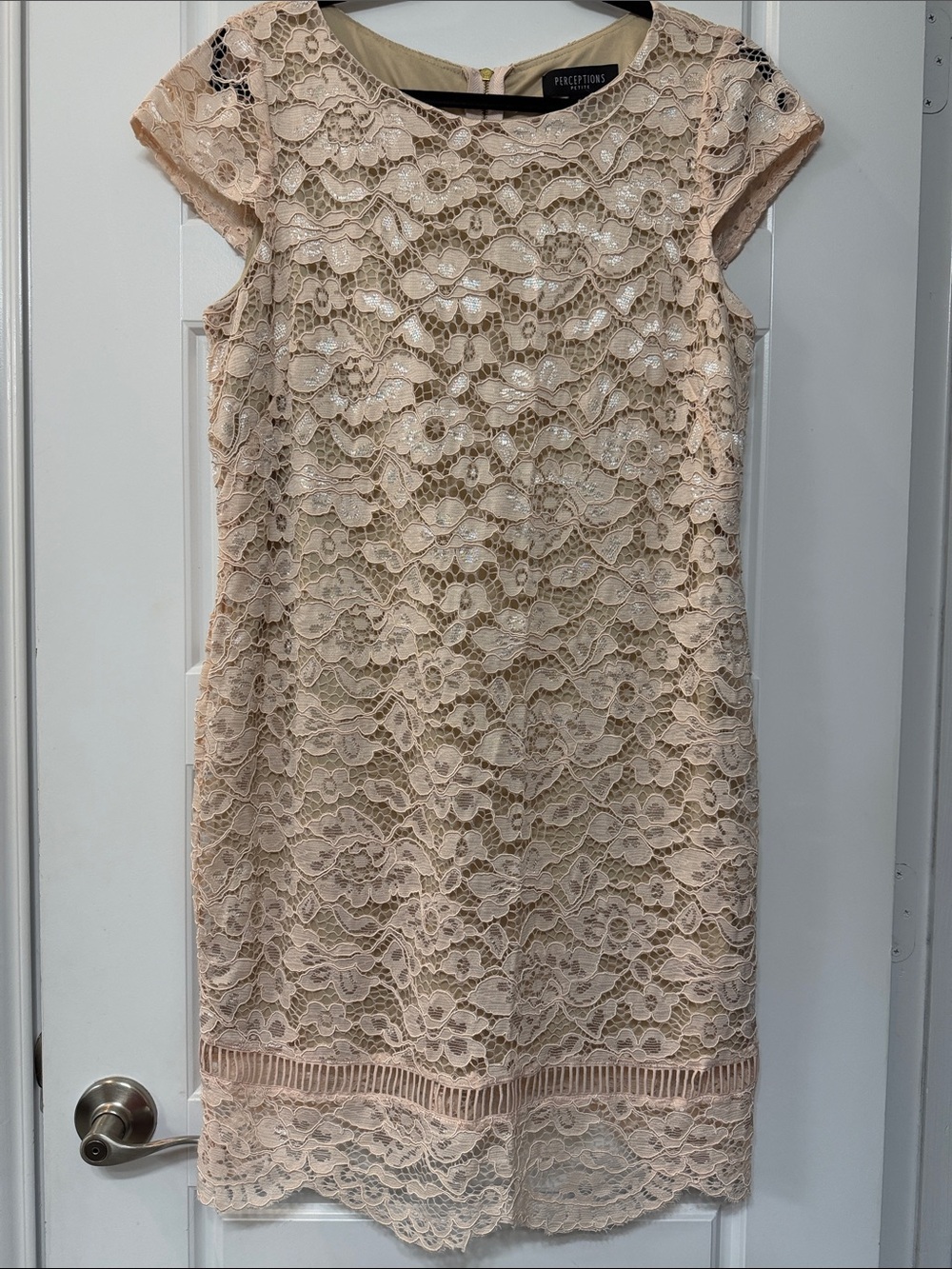 Perceptions Light Blush Lace Shift Dress